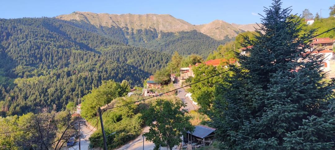 Photo of Others in Lake Plastiras