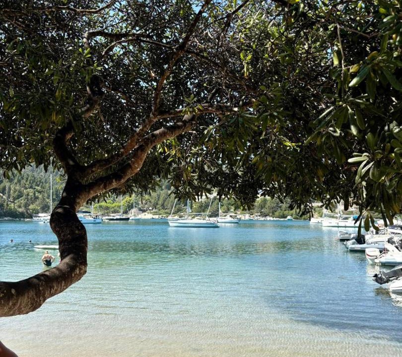 Photo of Others in Gaios