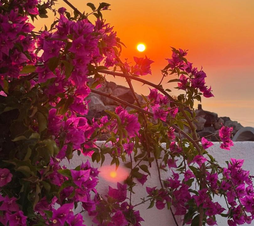 Photo of Others in Pyrgos