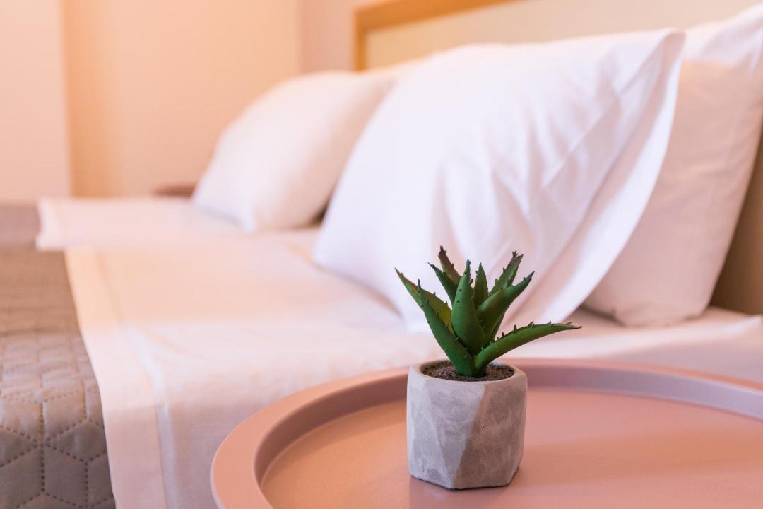 Photo of Bedroom in Ipsos