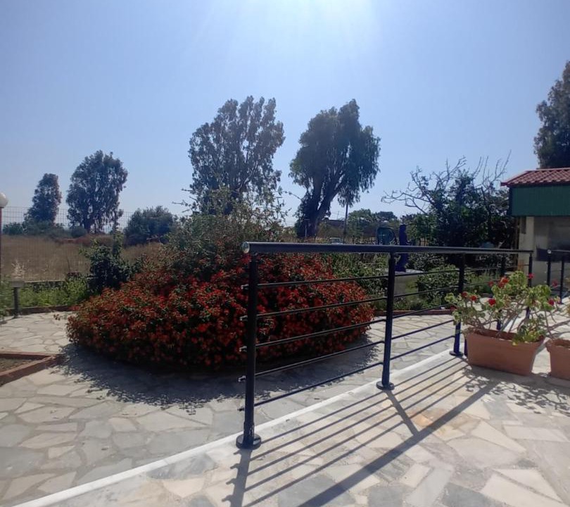 Photo of Others in Lesvos