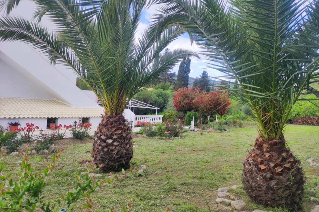 Photo of Outdoor in Agios Georgios Pagon