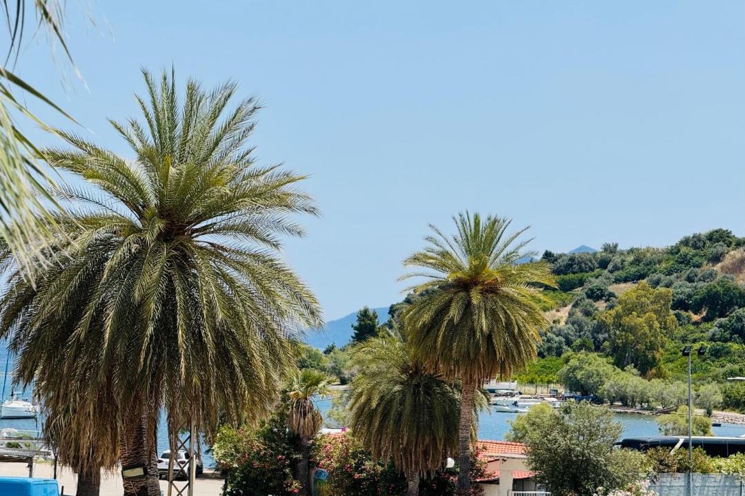 Photo of Others in Palaia Epidavros