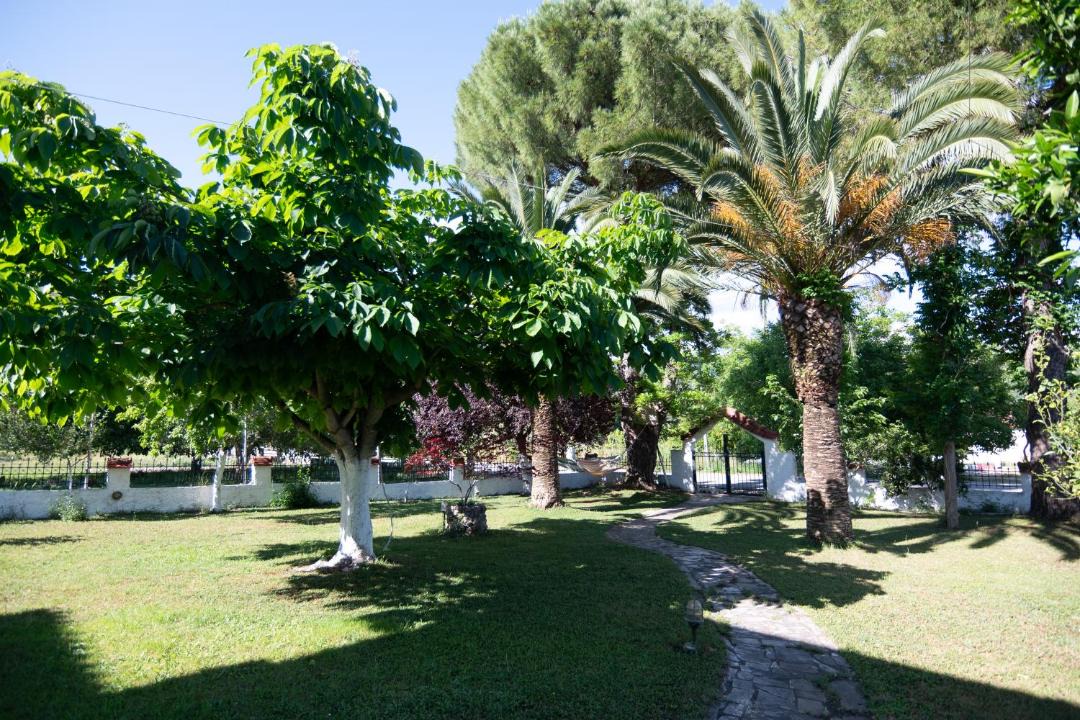 Photo of Others in Souli