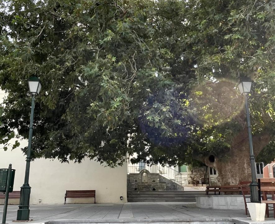 Photo of Others in Akoumia