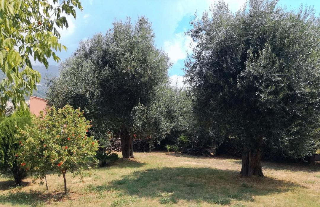 Photo of Outdoor in Ipsos