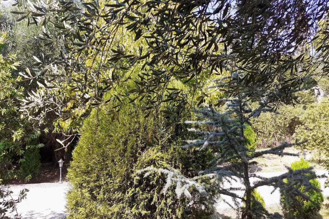 Photo of Outdoor in Ipsos