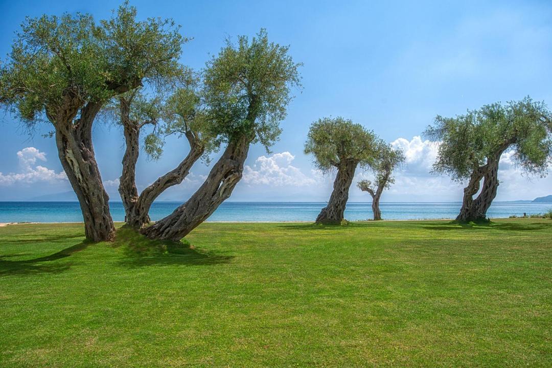 Photo of Others in Messonghi