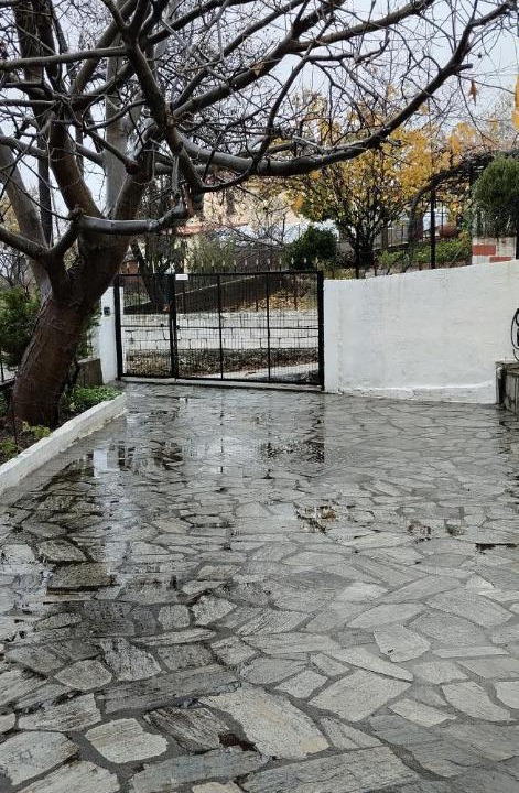 Photo of Others in Trikala