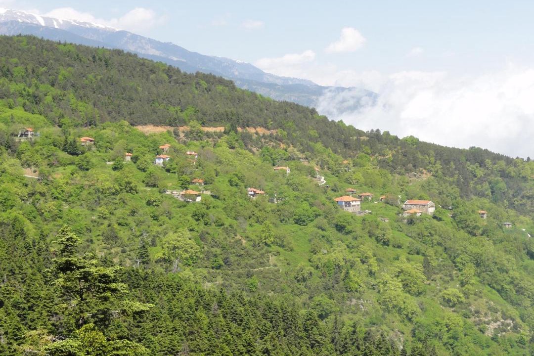 Photo of Others in Skotina