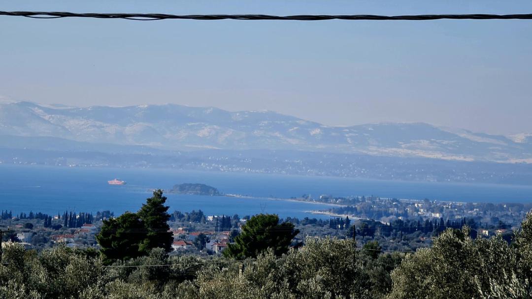 Photo of Others in Eretria