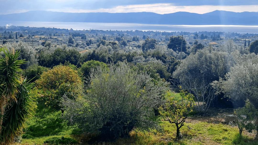 Photo of Others in Eretria