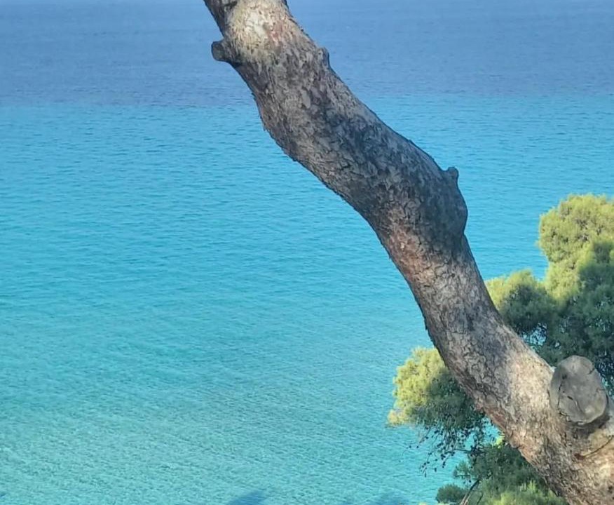 Photo of Others in Kallithea