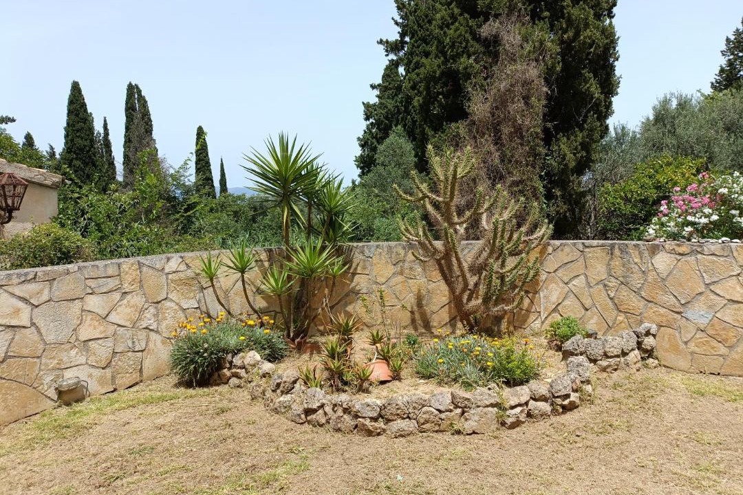 Photo of Others in Potamos
