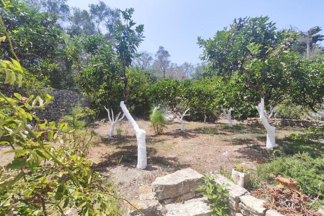 Photo of Others in Lakka