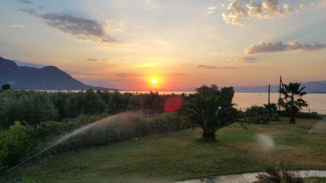 Photo of Others in Molos-Agios Konstantinos