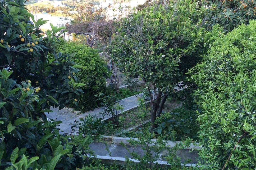 Photo of Outdoor in Katapola