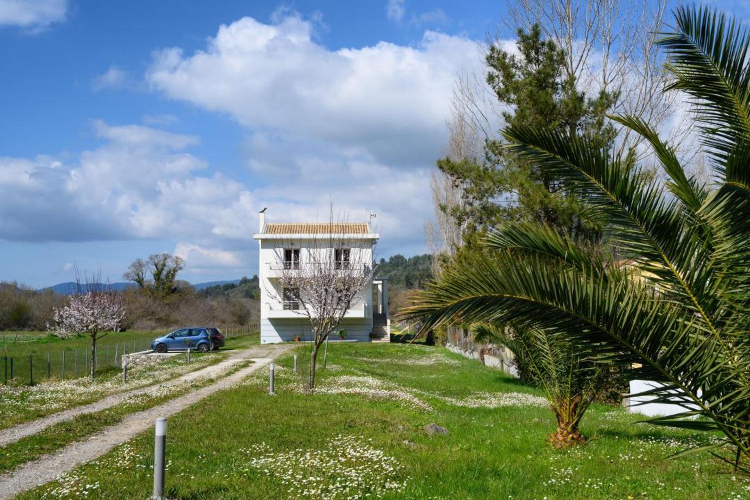 Photo of Others in Parelia