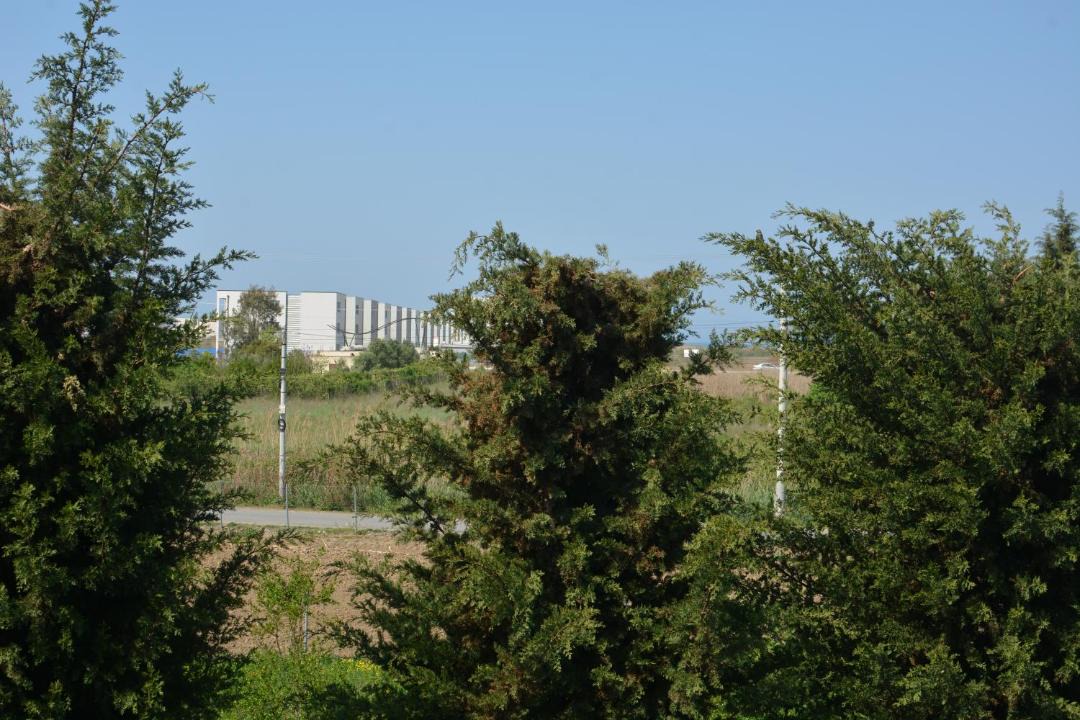 Photo of Others in Sakës