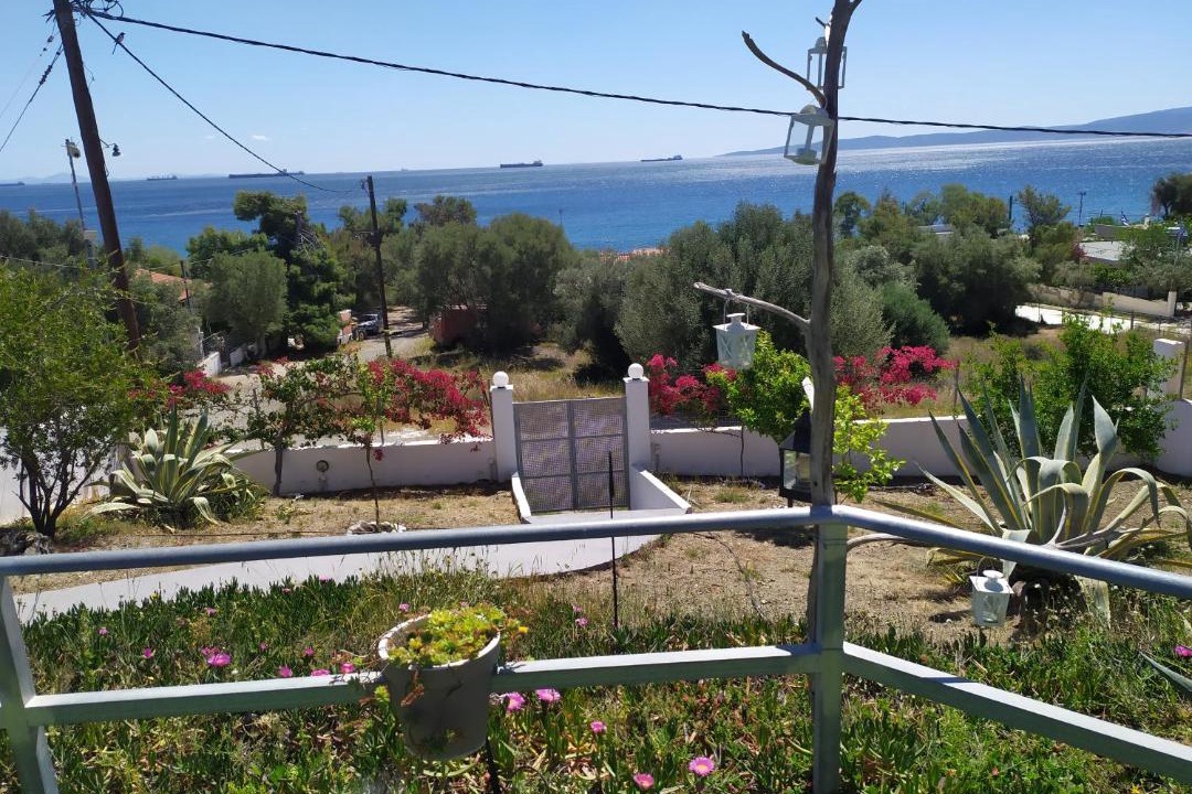 Photo of Others in Salamis