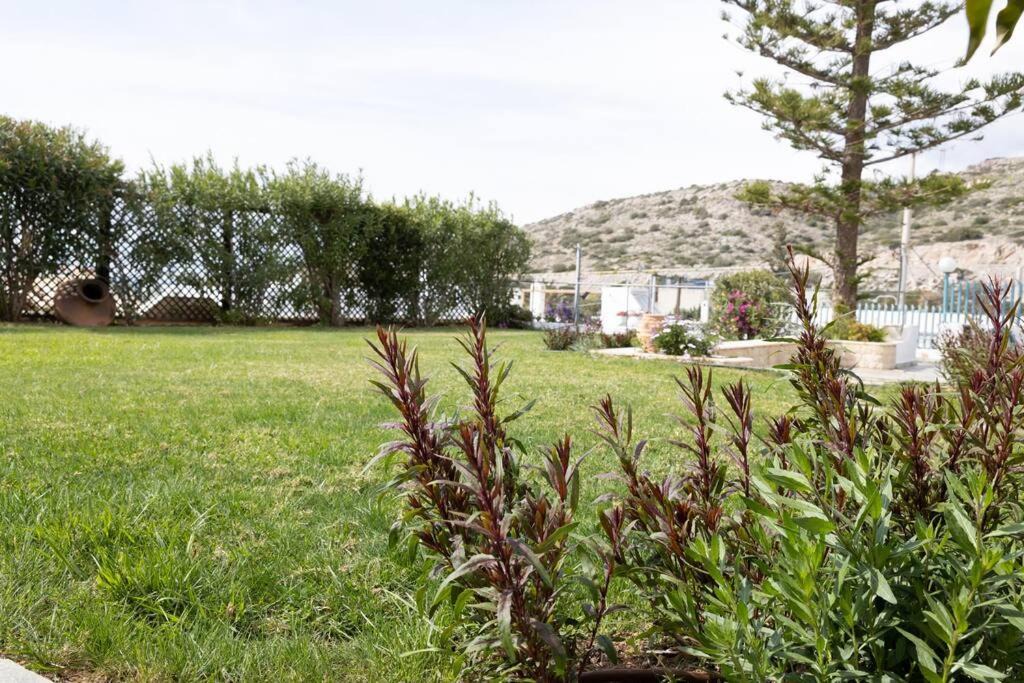 Photo of Others in Palaia Fokaia