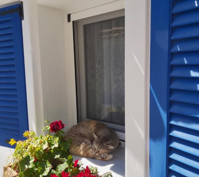 Photo of Patio Balcony in Agios Georgios Pagon