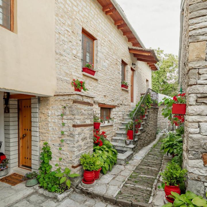 Photo of Others in Monodendri