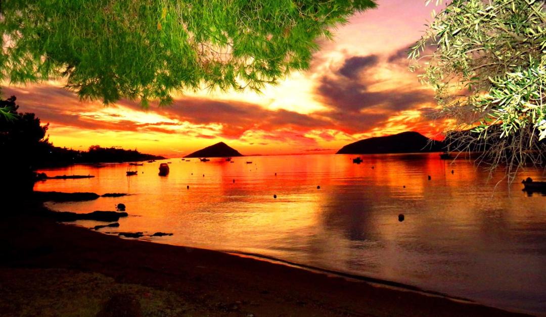Photo of Others in Porto Rafti