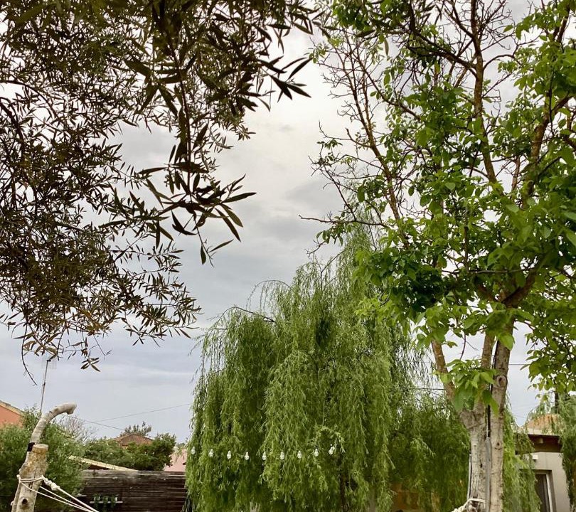 Photo of Outdoor in Dassia