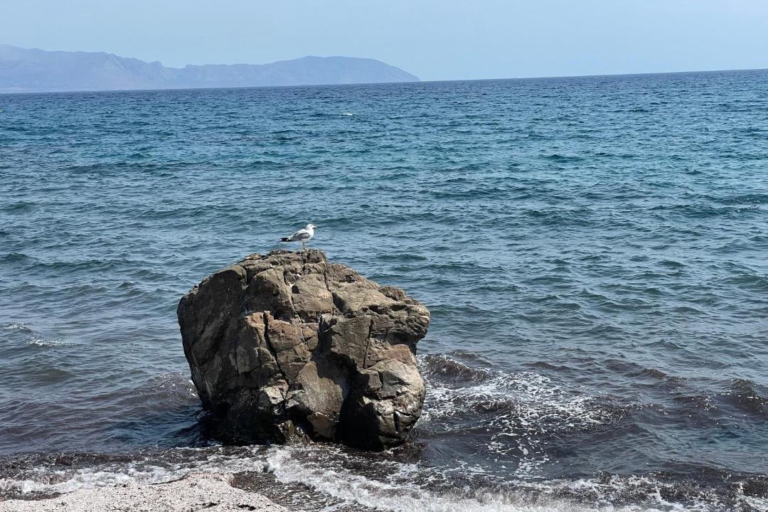 Photo of Others in Agia Pelagia