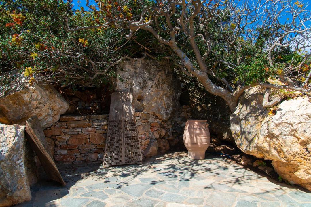 Photo of Others in Apollonia