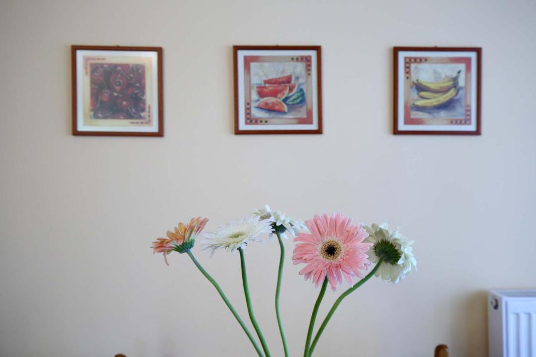 Photo of Others in Apolpaina