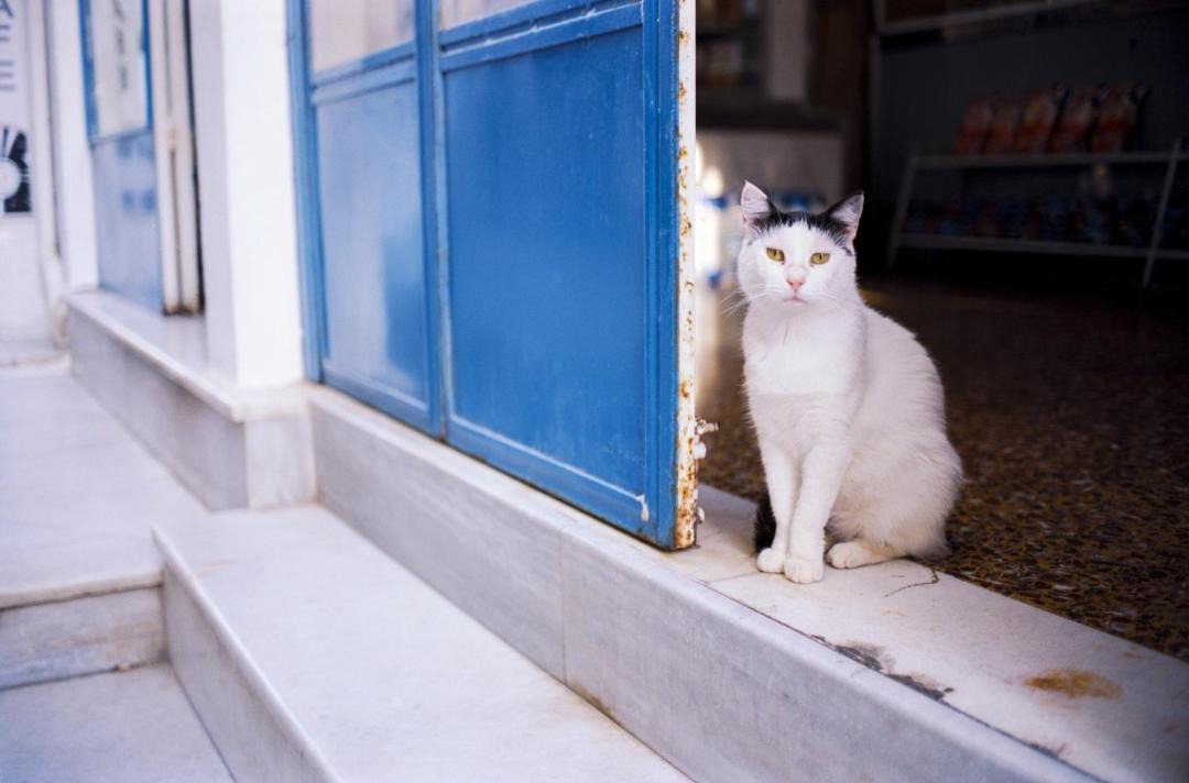 Photo of Others in Perissa