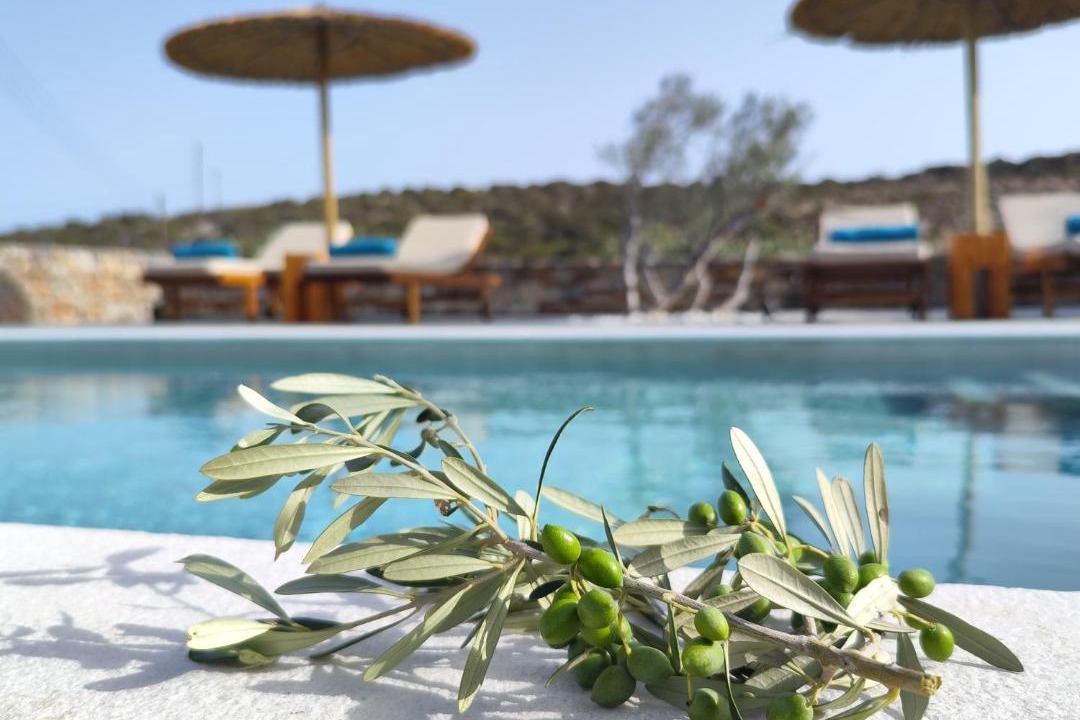 Photo of Others in Antiparos