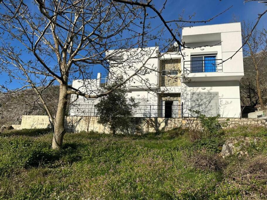 Photo of Buildings in Fushebardhe