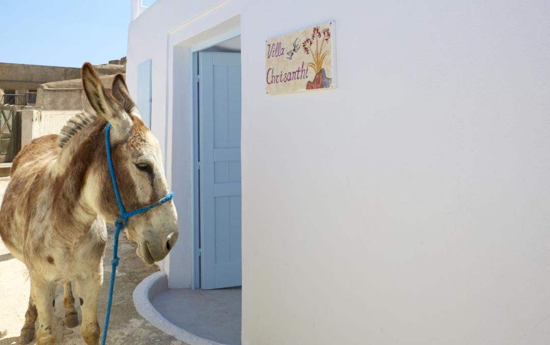 Photo of Others in Pyrgos