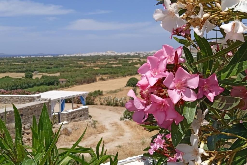 Photo of Others in Glinado