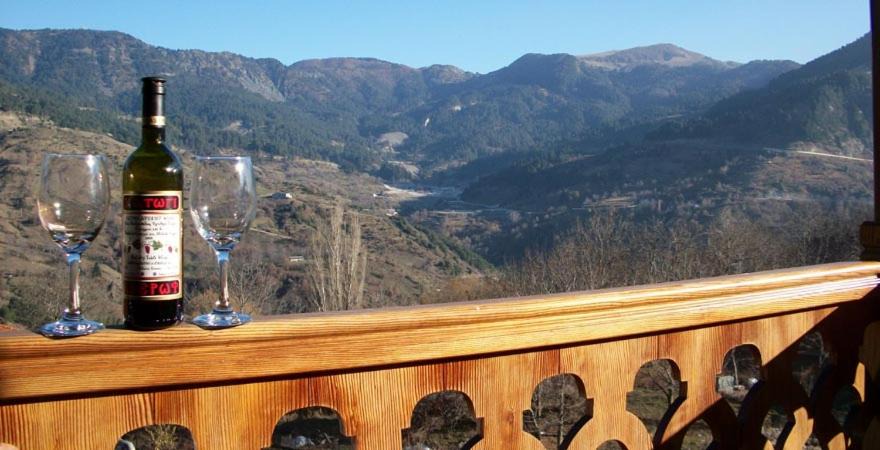 Photo of Others in Metsovo