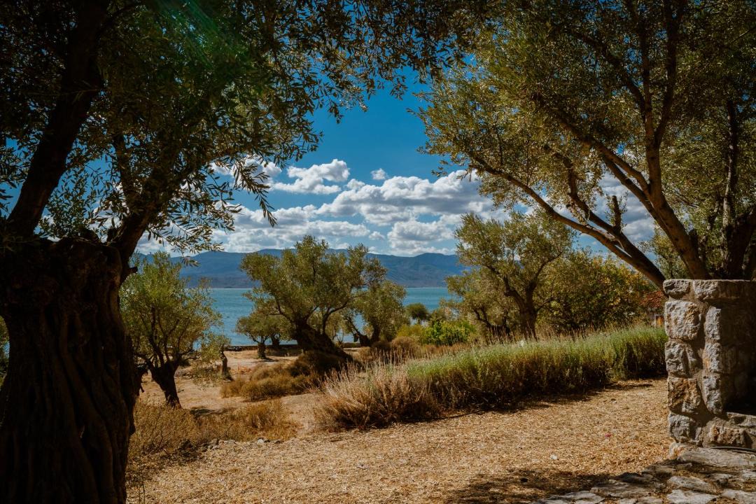Photo of Others in Mytilene