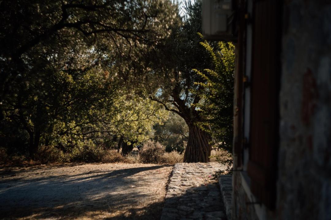 Photo of Others in Mytilene