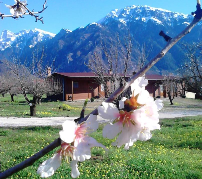 Photo of Others in Konitsa