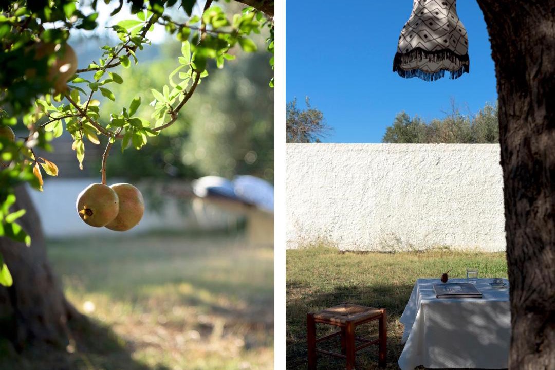 Photo of Others in Skiathos