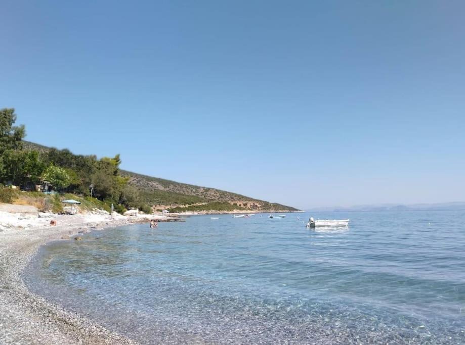Photo of Others in Paralia