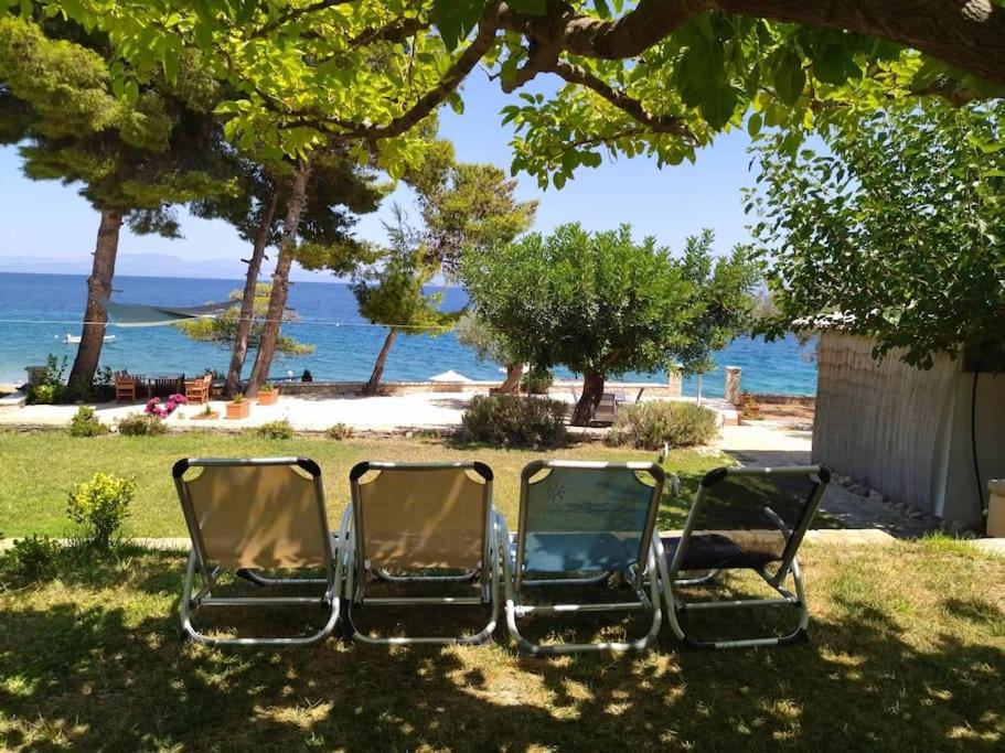 Photo of Others in Paralia