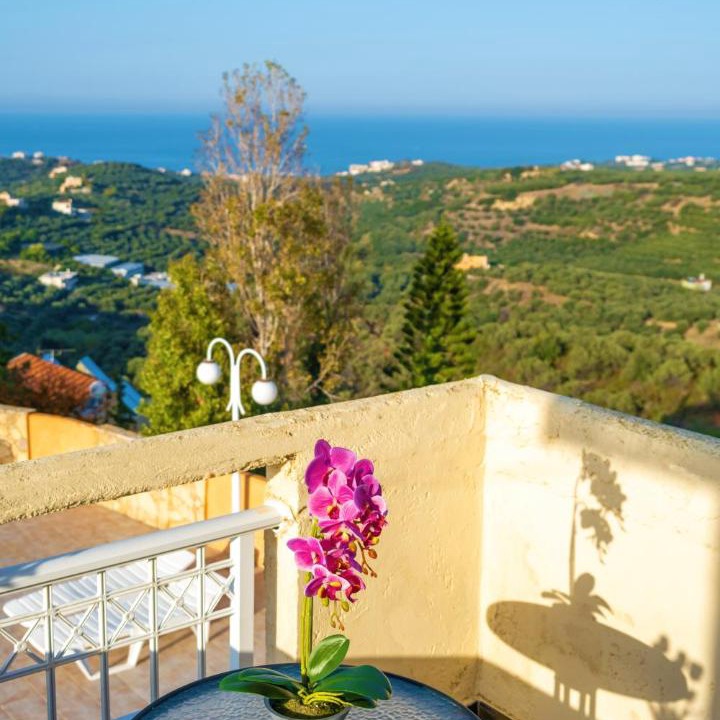 Photo of Others in Agia