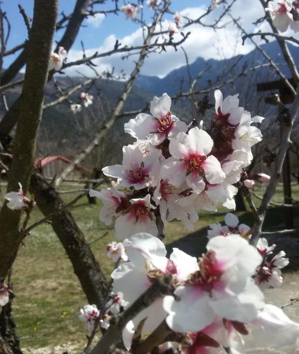 Photo of Others in Konitsa