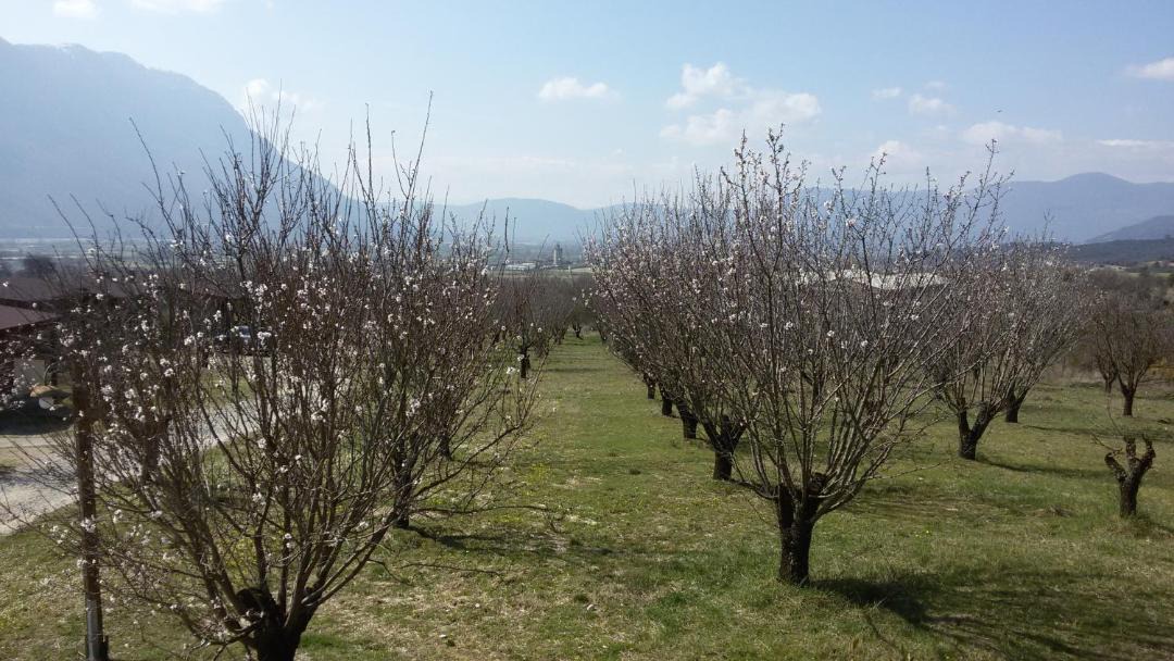 Photo of Others in Konitsa