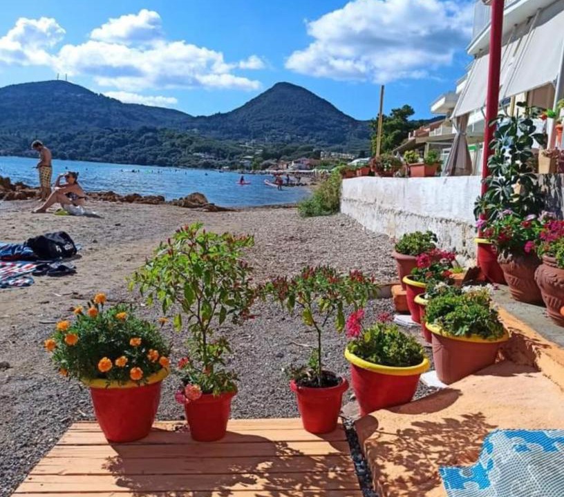 Photo of Others in Messonghi