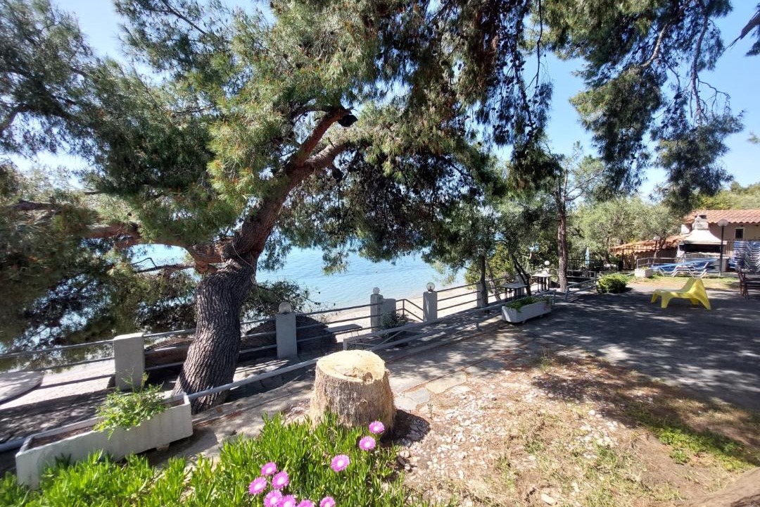 Photo of Others in Paradhisos