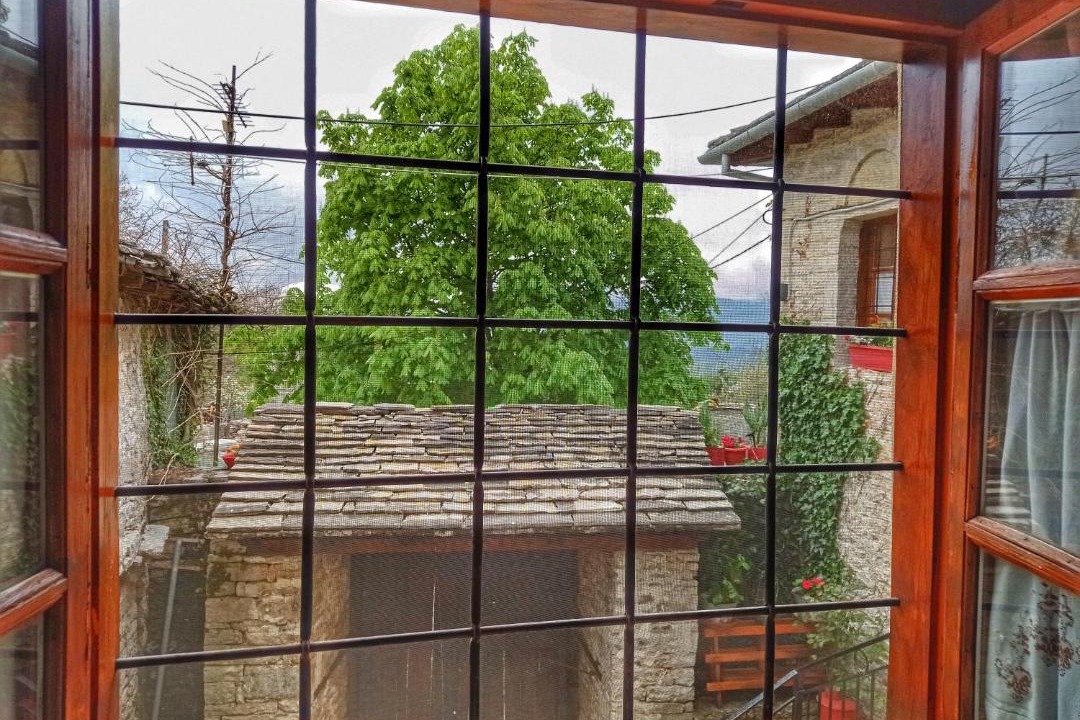 Photo of Others in Monodendri